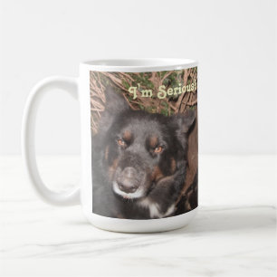 Mug Husky Collie Cross