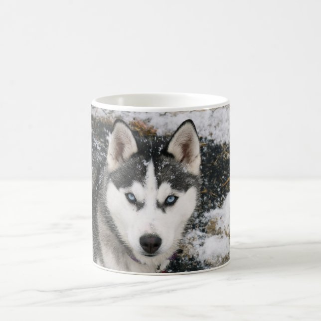 Mug Husky dog (Centre)