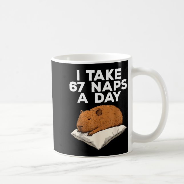 Mug I Take 67 Naps A Day Funny Capybara Six Seven Meme (Droite)