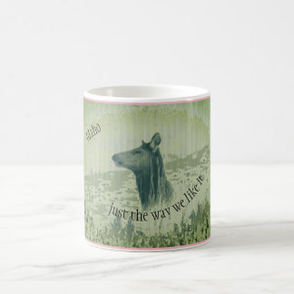 Mug Idaho : comme nous l'aimons