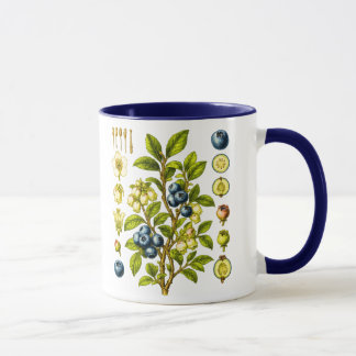 Mug Illustration Botanique Vintage de Myrtille