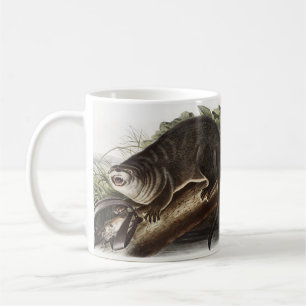 Mug Illustration de Canada Otter (Lutra Canadensis)