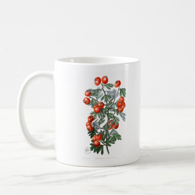 Mug Illustration de la vigne de tomate Vintage (Gauche)