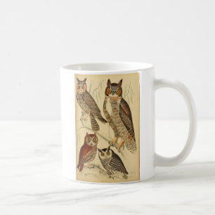 Mug Illustration de quatre hiboux