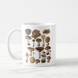Mug Illustration des espèces de champignons