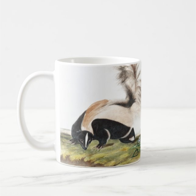 Mug Illustration LargeTail Skunk Mephitis macroura (Gauche)
