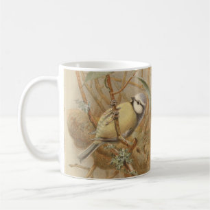 Mug Illustration vintage de mésange bleue