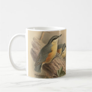 Mug Illustration vintage de Nuthatch