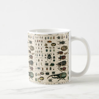 Mug Illustration vintage de scarabée