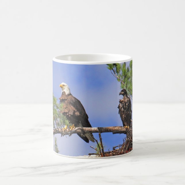 Mug IMG_0411cn (Centre)