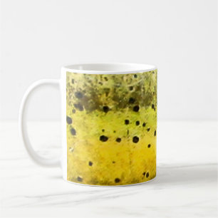 Mug Impression de peau de poisson Mahi Mahi