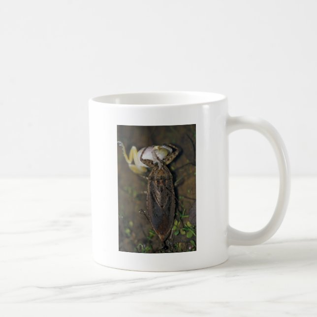 Mug Insecte d'eau géante mangeant la grenouille (Droite)