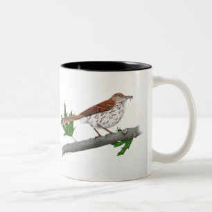 Mug inspirant de Thrasher Brown