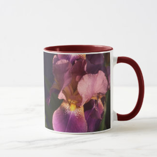 Mug Iris néerlandais barbu de rouge foncé et de rose