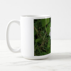 Mug Jacinthe d'eau en fleurs - Fleur aquatique tropica