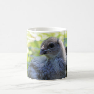 Mug Jacinthe des bois