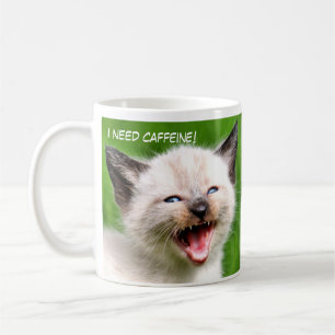 Mug J'AI BESOIN du chaton effrayant siamois drôle de