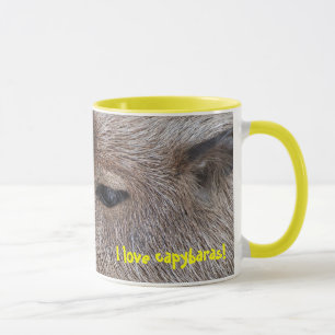 Mug J'aime les capybaras
