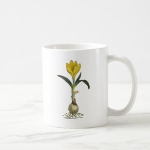 Mug Jardin botanique de tulipe Amaryllis Fleur