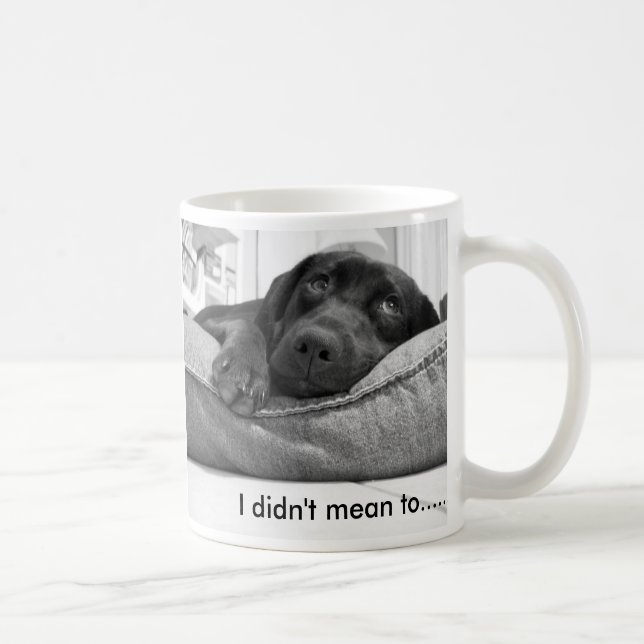 Mug Je n'ai pas voulu dire ....... (Droite)