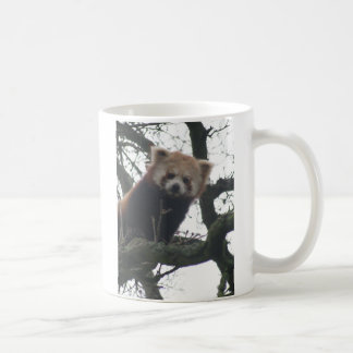 Mug je vous vois attaquer