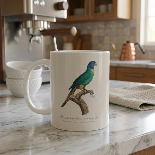 Mug Jeune loriquet arc-en-ciel Trichoglossus moluccanu
