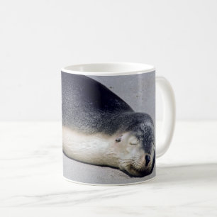 Mug Jeune phoque dormant sur la plage - Australie