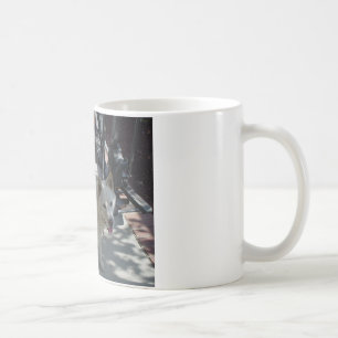 Mug jindo coréen plein 2.png