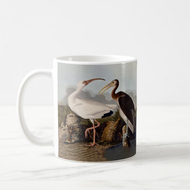 Mug John James Audubon White Ibis Bird Print Classic (Gauche)