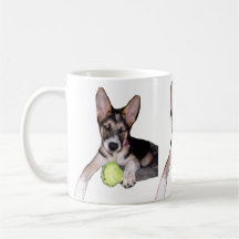 Joli chiot avec balle