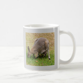 Mug Joli wallaby fait face