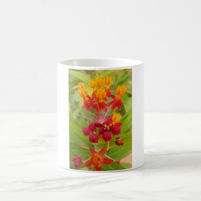 Mug Jolie florale colorée avec Milkweed Art Imprimer (Centre)