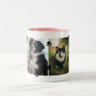 Jolies Empreintes de pattes Quatre Photos pour ani