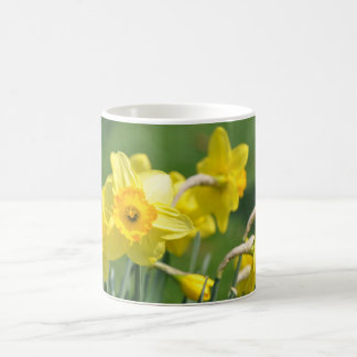 Mug Jonquilles