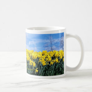 Mug Jonquilles de ressort, Shrewsbury, Shropshire,