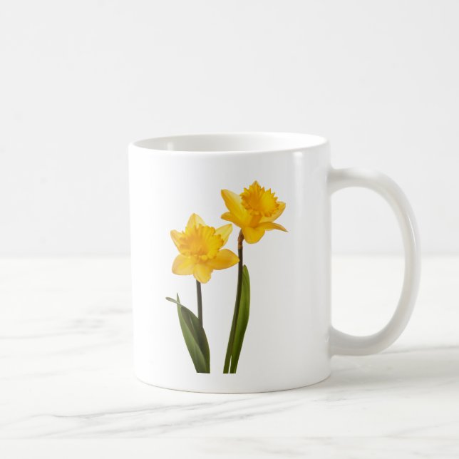 Mug Jonquilles jaunes de ressort sur le blanc (Droite)