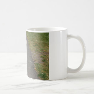 Mug july2 : 2008