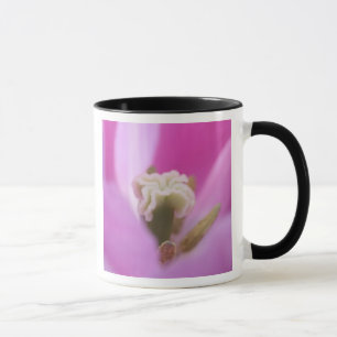 Mug Keukenhof Gardens, Hollande, se spécialise dans 3