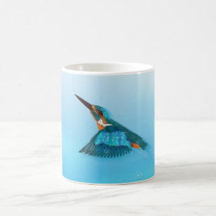 Mug Kingfisher Bird