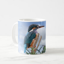 Kingfisher et Willow