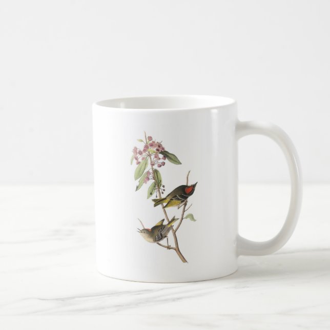 Mug Kinglet Rubis-couronné par Audubon (Droite)