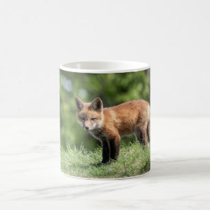 Mug Kit de Fox rouge