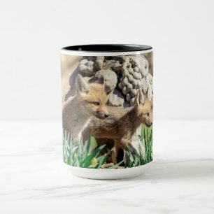 Mug Kits Fox dans la vallée de l'Hudson