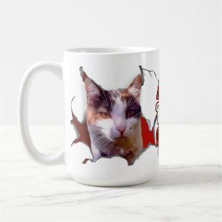 Mug Kitten sticking her head out, ready for Christmas?