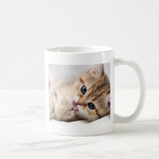 MUG KITTY MIGNON