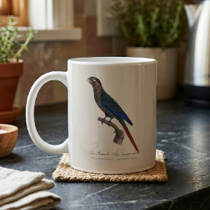Mug La Conure emmaillotée, Pyrrhura Picta