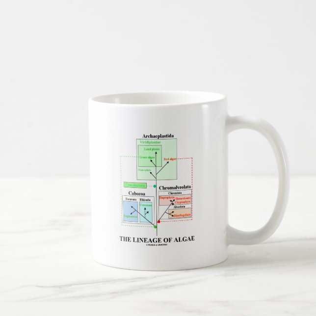 Mug La lignée des algues (Droite)
