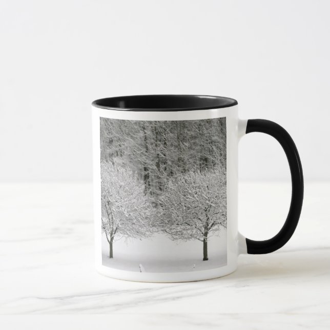 Mug La neige a couvert le paysage (Droite)