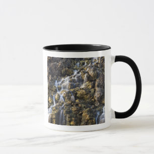 Mug La saumure tombe de la roche volcanique chute de 2