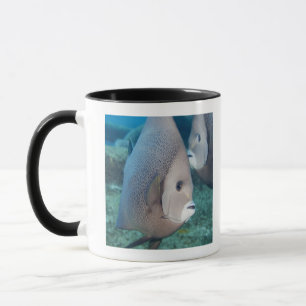 Mug La vie sous-marine, POISSON :  une paire de